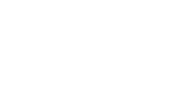 fidia