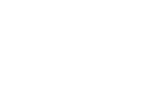 menarini