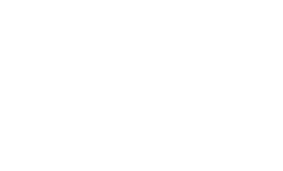 schneider