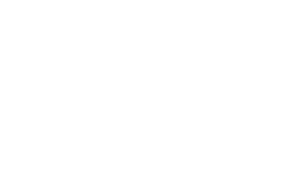 voismart