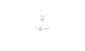 il-tarvisiano