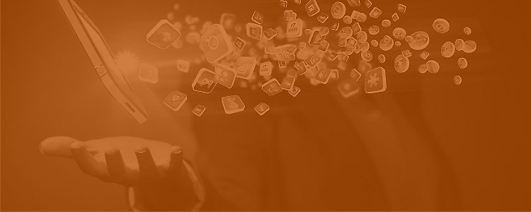 Mobile Application