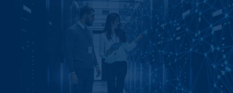 Telco Network Engineering